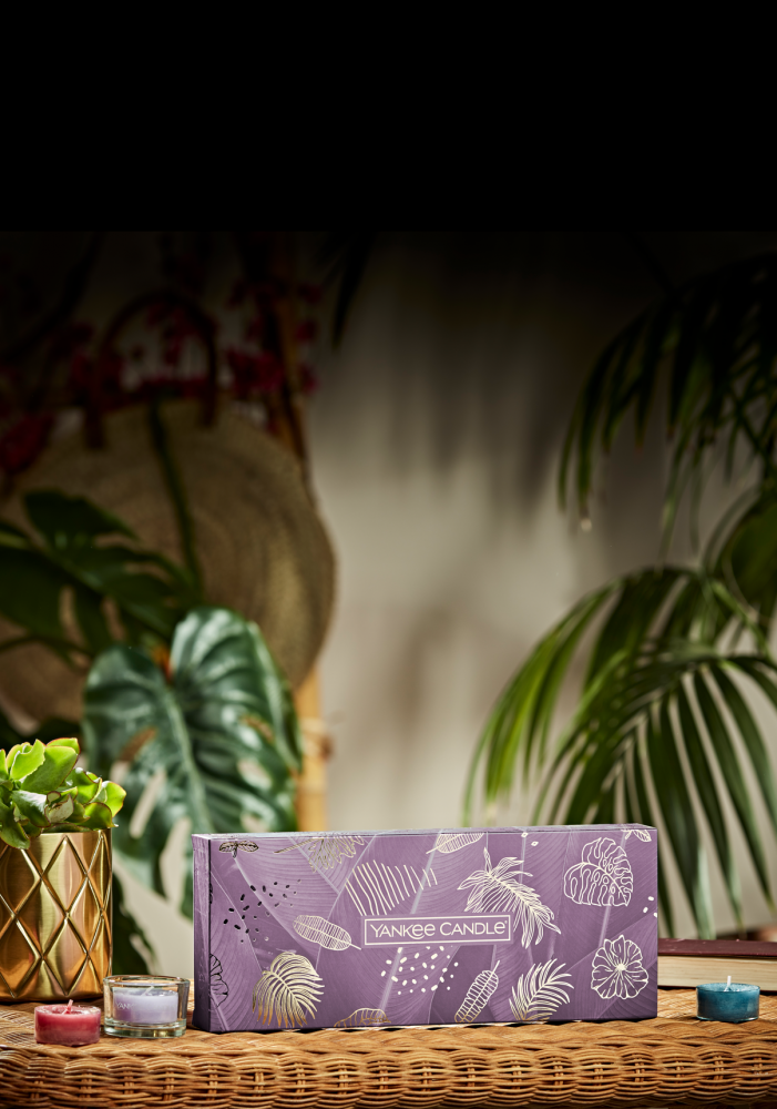 2 x Balsam Fir Votives 2 x Pure Essence Holders YANKEE CANDLE Coffret Cadeau avec 2 photophores et 2 échantillons décoratifs pour intérieur/extérieur Green & Purple 
